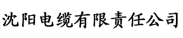 白泽香蕉视频电缆厂logo